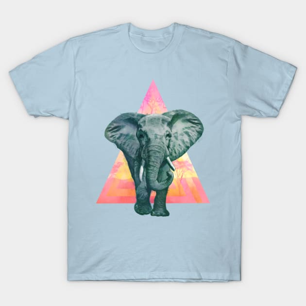 Elephant #2 T-Shirt by LauraGraves